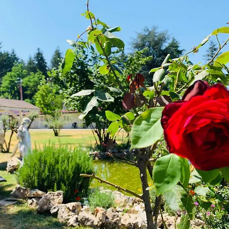 Simonelli 로카 프리오라