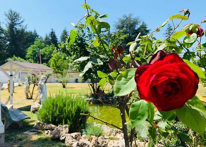 Simonelli Rocca Priora (Rome)